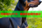 同城炮约2018：邂逅你的城市缘分