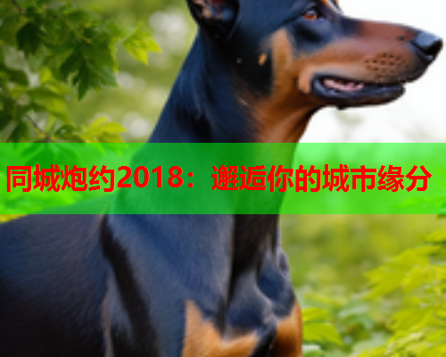 同城炮约2018：邂逅你的城市缘分  第1张