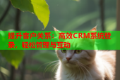 提升客户关系：高效CRM系统登录，轻松管理与互动