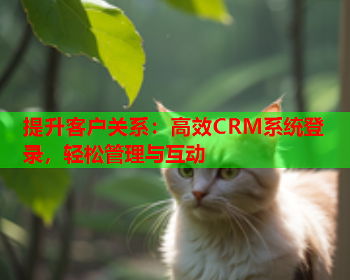 提升客户关系：高效CRM系统登录，轻松管理与互动  第1张