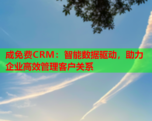 成免费CRM：智能数据驱动，助力企业高效管理客户关系  第1张